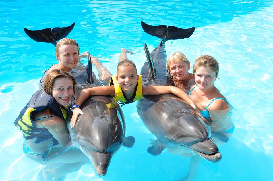 swim-with-dolphins-activity-sharm
